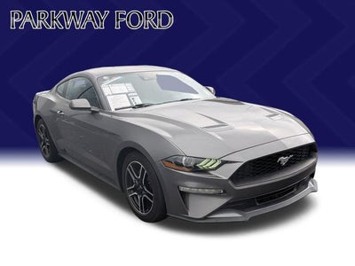 2022 Ford Mustang EcoBoost