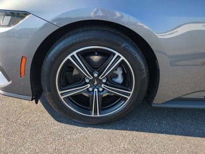 2024 Ford Mustang EcoBoost