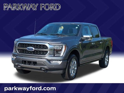 2023 Ford F-150 Platinum